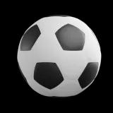 Game image for Soccer