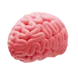 Game image for Brain