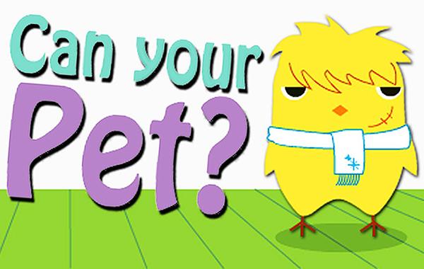 Game Can Your Pet? preview