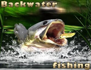 Game Backwater Fishing preview